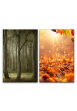 Sinus Art Leinwandbild »2 Bilder je 60x90cm Wald Herbst Laub Sonnenstrahlen Zauberhaft Natur Heilsam«