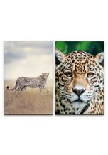 Sinus Art Leinwandbild »2 Bilder je 60x90cm Gepard Leopard Afrika Wildnis Raubkatze Safari Großkatze«