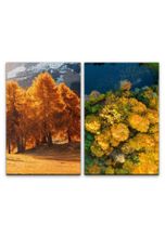 Sinus Art Leinwandbild »2 Bilder je 60x90cm Bäume Natur Unberührt Vogelperspektive Stille Erholsam Herbst«