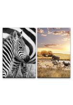 Sinus Art Leinwandbild »2 Bilder je 60x90cm Zebra Baby Afrika Wildnis Tiere Safari Elefant Sonne«