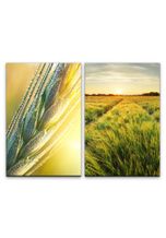 Sinus Art Leinwandbild »2 Bilder je 60x90cm Weizen Gold Kornfeld Sommer Sonnenuntergang warmes Licht Landschaft«