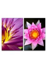 Sinus Art Leinwandbild »2 Bilder je 60x90cm Lotusblume Wasserblume Asien Meditation Achtsamkeit innerer Frieden Buddhismus«