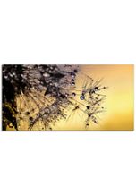 Artland Glasbild »Pusteblume mit Tautropfen benetzt«, Blumen (1 Stück), goldfarben
