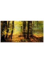 Artland Glasbild »Herbstlicht im Wald«, Wald (1 St), grün