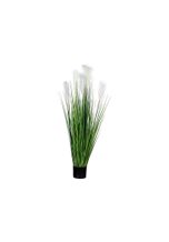 Kunstpflanze »PLANTASIA® Deko Federgras mit 5 Blütenrispen 120cm