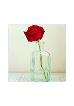 Wallario Glasbild, Rote Rose in Glasvase