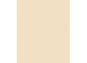 Erismann Vliestapete Paradisio 2, 10,05 x 0,53m Uni, beige