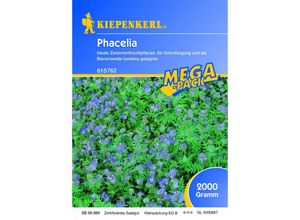 Gründünger Phacelia 2kg - 615762 - Kiepenkerl