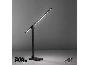 Paul Neuhaus LED Tischleuchte LED Tischlampe PURE GRAFO