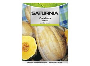 Saturnia - Violina-Kürbis-Samen