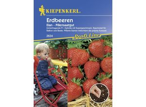 Erdbeere Elan Fragaria ananassa, Inhalt 8 Pillen Obst- & Gemüsesamen - Kiepenkerl