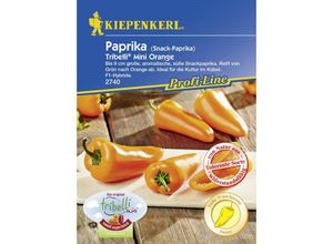 Snackpaprika Tribelli® Mini Orange Capsicum annuum, Inhalt 5 Korn Gemüsesamen - Kiepenkerl