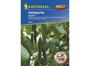 Kiepenkerl - Salatgurke Euphya Cucumis sativus, Inhalt 5 Korn Obst- & Gemüsesamen