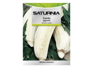 Saturnia - Samen der Gartendistel