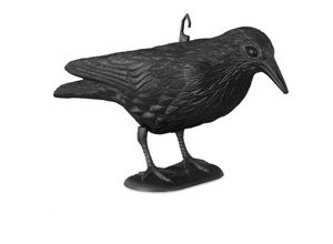 Taubenschreck Krähe, Dekofigur als Vogelscheuche, stehende Figur für Taubenabwehr, Gartenfigur, schwarz - Relaxdays