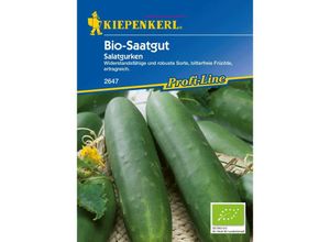 Kiepenkerl - Bio-Saatgut Salatgurken Cucumis sativus, Inhalt ca. 35 Pflanzen Gemüsesamen