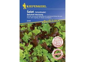 Kiepenkerl Schnittsalat Babyleaf-Mischung Lactuca sativa var. capitata, Inhalt ca. 3 lfd. Meter Gemüsesamen