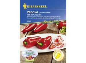 Snackpaprika Tribelli® Mini Rot Capsicum annuum, Inhalt 5 Korn Gemüsesamen - Kiepenkerl