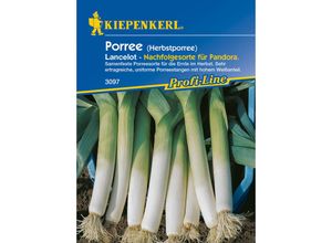 Kiepenkerl - Porree Blaugrüner Herbst / Lancelot - Gemüsesamen