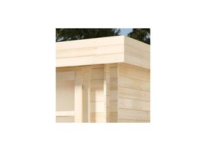 Carlsson Gartenhaus Modern-E aus Holz Gartenhütte fsc zertifiziert Geräteschuppen, 28 mm Wandstärke, Imprägnierung (Pinie) - Naturbelassen