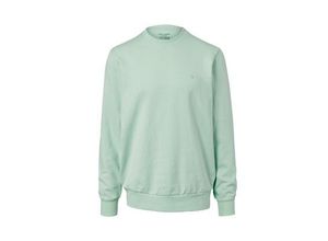 Sweatshirt - Mintgrün - Gr.: L