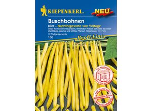 Buschbohnen Dior - Gemüsesamen - Kiepenkerl