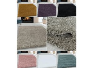 Wunderschöne Shaggy Hochflor Langflor 30mm Shaggy Teppich in Verschiedene Farben