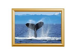 Showdown® Displays Klapprahmen gold 45,1 x 62,5 cm
