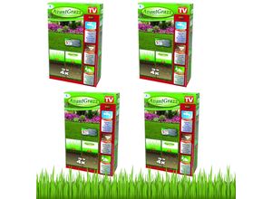 Best Direct® Rasensamen - Grassamen - Unkrautresistent - Nachsaat Avant Grazz