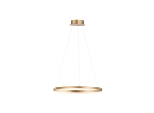 PAUL NEUHAUS Pendelleuchte "TITUS", gold (messingfarben matt), Ø 60cm H: 120cm, Lampen, LED, dimmbar, Simply Dim, Memory, nach Trennung vom Netz