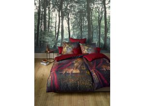 Wendebettwäsche FLEURESSE "Bed Art S 3759", rot (rubin), B/L: 200cm x 220cm, , Mako-Satin, B/L: 80cm x 80cm & 80cm x 80cm, Mako-Satin, Obermaterial: 100% Baumwolle, Bettwäsche