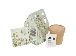 Gewächshäuschen "Timos Wilder Blumen-Garten"