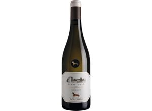 Produktbild Eugenio Collavini Sauvignon Blanc, Blancfumat Collio DOC, Friaul, 2023, Weißwein