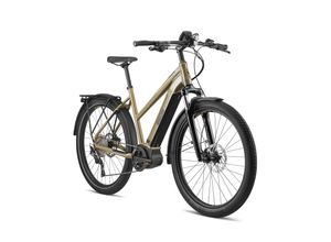 Breezer Powerwolf Evo 2.1 SM+