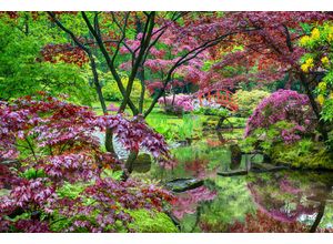 Fototapete PAPERMOON "GARTEN-BLUMEN BÄUME PFLANZEN PARK STEINE BLÜTEN WALD", bunt, B:4,50m L:2,80m, Vlies, Tapeten