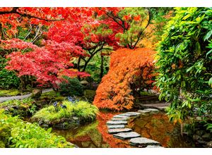 Fototapete PAPERMOON "JAPANISCHER GARTEN-BLUMEN BÄUME SEE NATUR HERBST WALD", bunt, B:5,00m L:2,80m, Vlies, Tapeten