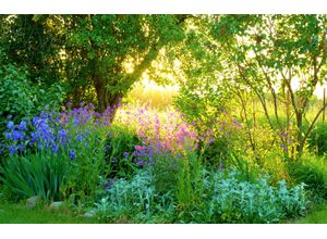 Fototapete PAPERMOON "GARTEN-BLUMEN BÄUME PFLANZEN PARK STEINE BLÜTEN WALD", bunt, B:4,50m L:2,80m, Vlies, Tapeten