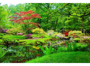 Fototapete PAPERMOON "GARTEN-BLUMEN BÄUME PFLANZEN STEINE WALD PARK BLÜTEN", bunt, B:5,00m L:2,80m, Vlies, Tapeten