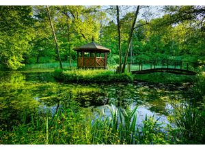 Fototapete PAPERMOON "GARTEN-BLUMEN BÄUME PFLANZEN PARK STEINE BLÜTEN WALD", bunt, B:4,50m L:2,80m, Vlies, Tapeten