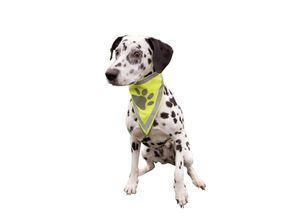 Trixie Sicherheits-Halstuch für Hunde L-XL 43-60cm