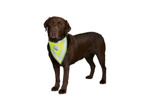 Trixie Sicherheits-Halstuch für Hunde S-M 29-42cm