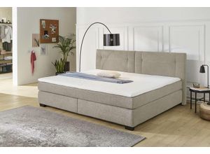 Boxspringbett JOCKENHÖFER GRUPPE "Family, inklusive 7-Zonen-TTFK-Matratzen und Kaltschaumtopper", beige (beige 403, 07), B:250cm L:213cm, Bezug Bett: Microfaser (100% Polyester), Topper und Matratzenspiegel: 100% Polyester, Komplettbetten, Familienbett in der Größe 240x200 cm, Topseller