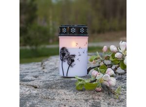 LED-Grablicht Dandelion, 12 cm weiß/schwarz Plastik Batterie