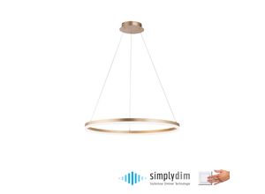 PAUL NEUHAUS Pendelleuchte "TITUS", gold (messingfarben matt), Ø 80cm H: 120cm, Lampen, LED, dimmbar, Simply Dim, Memory, nach Trennung vom Netz