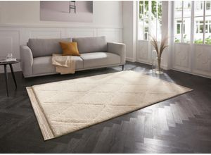 Designteppich HANSE HOME "Colin", beige, B:200cm H:22mm L:290cm, Polypropylen (PP), Teppiche, Shaggy, Weich, Flauschig, Flokati, Hoch-Tief, Wohnzimmer, Schlafzimmer