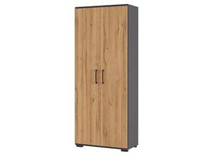 GERMANIA Aktenschrank Profi 3.0, 4250-564 grafit, grandson-eiche 4 Fachböden 80,0 x 40,0 x 200,0 cm
