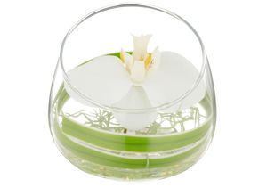 Kunstblume CREATIV GREEN "Glasgefäß mit Orchideenblüte", weiß, H:12cm, Kunststoff, Kunstpflanzen, als elegantes Arrangement