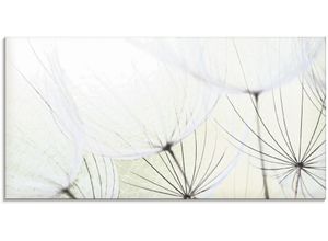 Glasbild ARTLAND "Pusteblumen-Samen aufgehellt", grün (farbe bild(er): grün), B:100cm H:50cm, Bilder, in verschiedenen Größen
