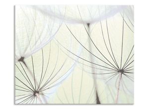 Küchenrückwand ARTLAND "Pusteblumen-Samen aufgehellt", grün, B:60cm H:50cm, Aluminium, Spritzschutzwände, Alu Spritzschutz mit Klebeband, einfache Montage