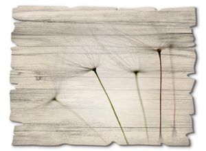 Holzbild ARTLAND "Pusteblumen-Samen I", grau (farbe bild(er): grau), B:40cm H:30cm, Holzwerkstoff, Bilder